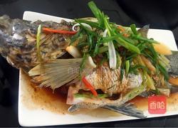 清蒸乌过鱼的做法图解7
