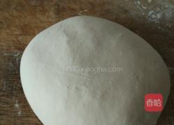 猪肉香葱馅饼的做法图解1