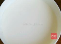 自制酸奶的做法图解5