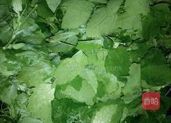 凉拌灰灰菜的做法图解2