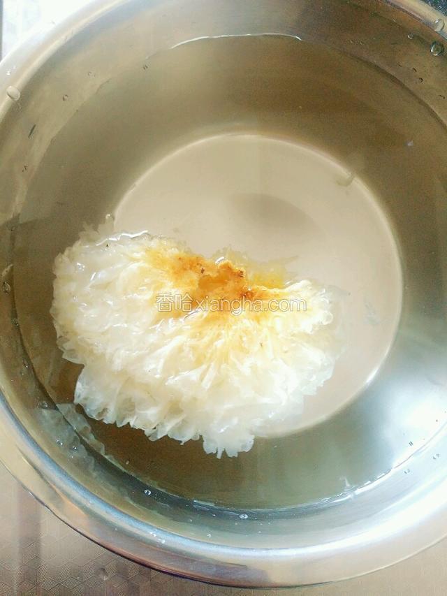 银耳半朵泡入凉水半个小时。