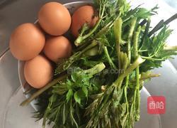 刺老芽炒鸡蛋的做法图解1