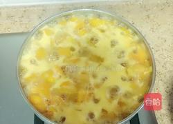 黄杏果酱的做法图解4