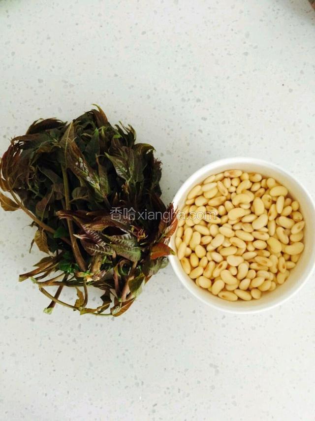 黄豆提前泡一宿