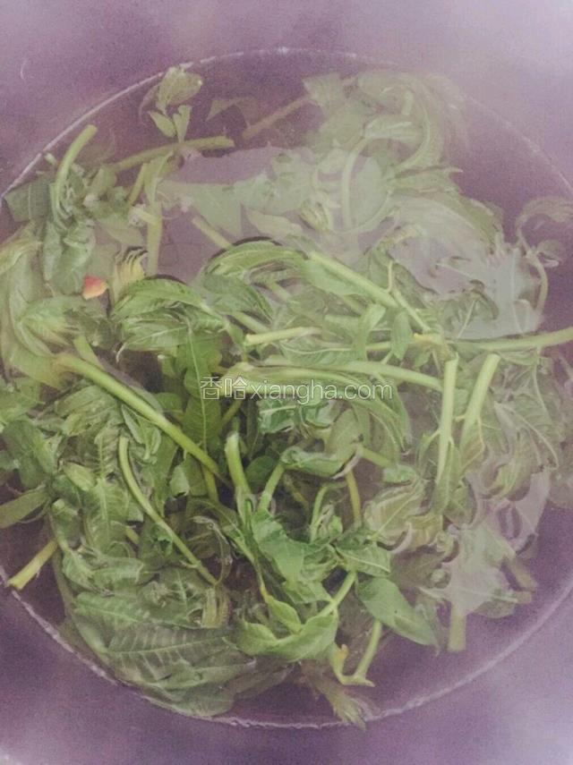 然后把香椿绰水30秒