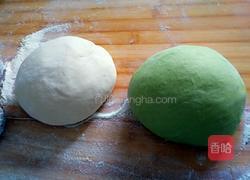 翡翠芸豆肉饺子的做法图解4