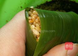 鲜肉粽的做法图解9