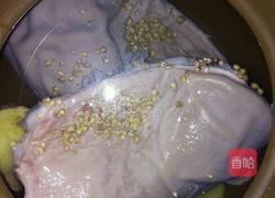 茶树菇猪肚汤的做法图解5