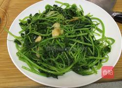 苋菜虾仁的做法图解7