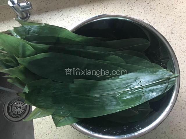 粽叶洗净，开水煮5分钟，冲洗干净。马莲草开水煮过，关火直接泡在开水里备用。