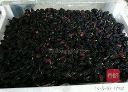 桑椹酱的做法图解1
