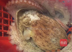 双椒炒章鱼的做法图解1