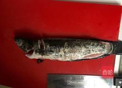 爆炒黑鱼片的做法图解1