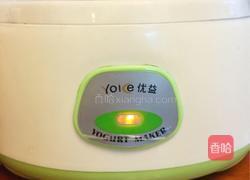 芒果酸奶杯的做法图解2