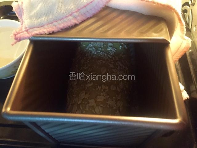 盖上盖子上面再加一条湿毛巾，入烤箱待发酵