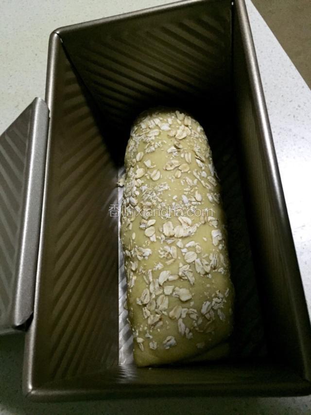 放入模具