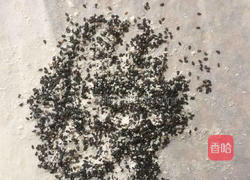 蜂蜜小面包的做法图解5