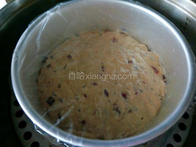 盖上保鲜膜发酵
