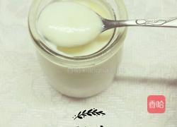 纯手工酸奶的做法图解10