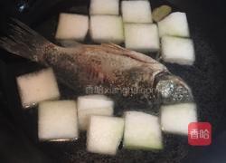 鲫鱼滚冬瓜汤的做法图解4