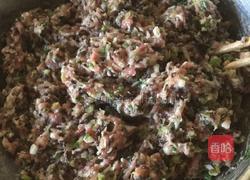 鲜肉木耳馄饨的做法图解3