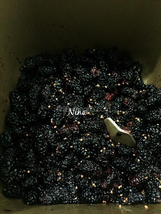 把桑椹倒入面包机的桶内，用叉子轻轻压迫桑椹，这样便于腌制。
