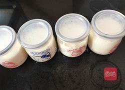 牛奶布丁的做法图解3