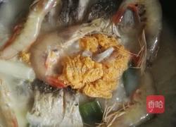 鲜虾鲫鱼冬瓜汤的做法图解5