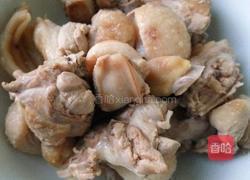 鸭子焖萝卜的做法图解5