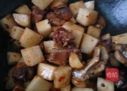 鸭子焖萝卜的做法图解8