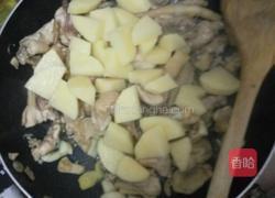 土豆焖鸡的做法图解3