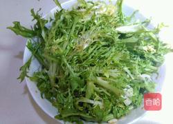凉拌苦菊的做法图解3
