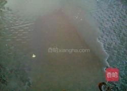 干煎香辣鸡脖的做法图解12