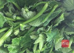 炒南瓜尖的做法图解2