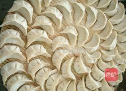 香菇 洋葱 辣椒 猪肉水饺的做法图解6