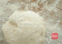 香菇 洋葱 辣椒 猪肉水饺的做法图解3