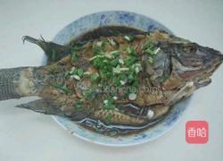 红烧罗非鱼的做法图解7