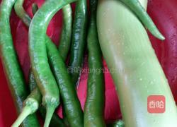 辣椒抖茄子的做法图解1