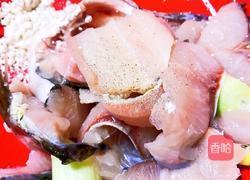 火锅鱼的做法图解4