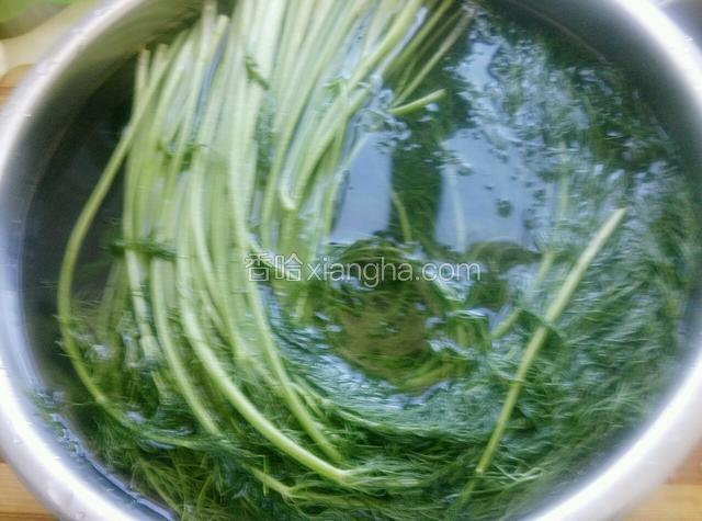 茴香摘洗干净，放入盆里放入水没过茴香，放入少许盐寝泡20分钟，是为了去除些农药