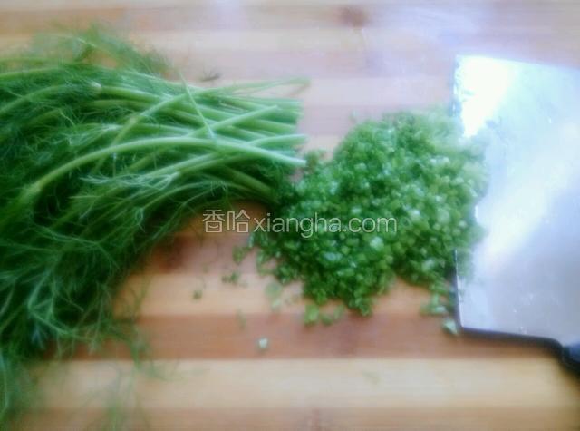 再把茴香切碎末