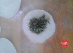 猪肉茴香馅饺子的做法图解13