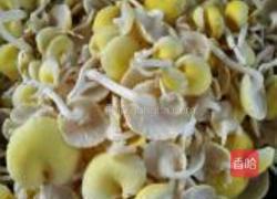 榆黄蘑韭菜鸡蛋饺子的做法图解1