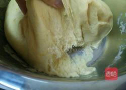 南瓜芝麻核桃包的做法图解12