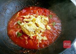 西红柿炒鸡蛋的做法图解12