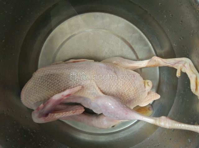 老母鸭一只宰杀干净。