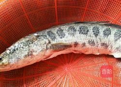 麻辣水煮鱼的做法图解1