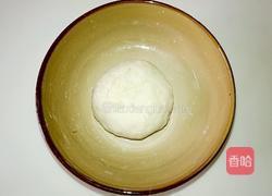 锅贴的做法图解4