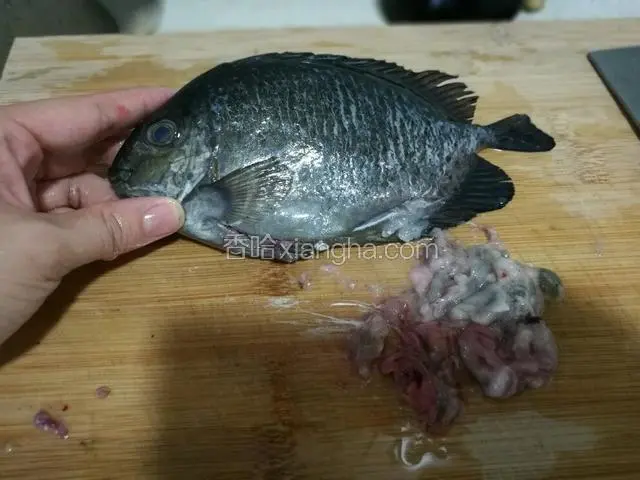 把买回来的泥猛鱼，去除内脏，冲洗干净