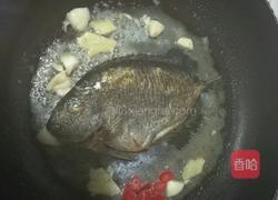 煎泥猛鱼的做法图解4
